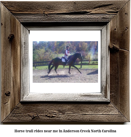 horse trail rides near me in Anderson Creek, North Carolina